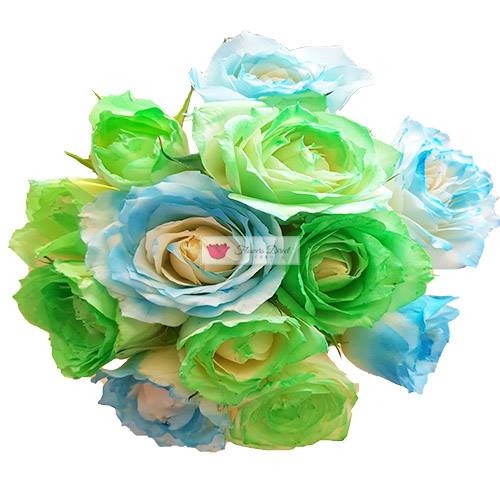 Sprayed Rose