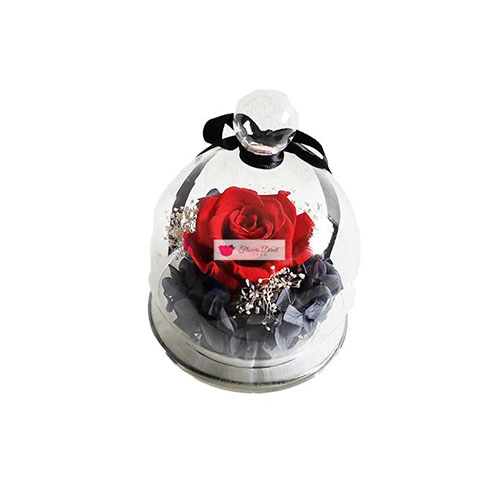 Forever Preserved Rose Cebu Real Red Rose that has been preserved to last forever, comes in a glass dome.