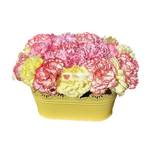 Carnation Flowers Box Cebu