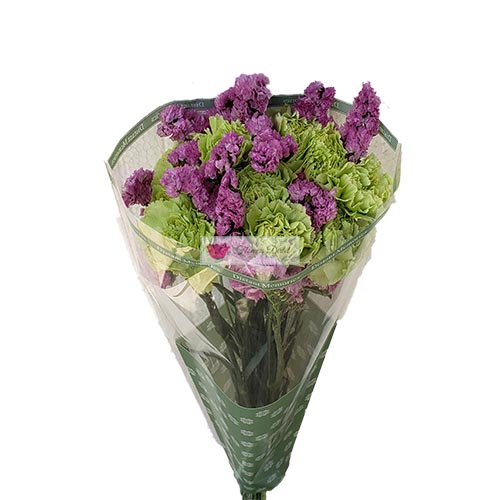 Cheap Carnations Cebu, 10 carnation flowers in a plastic wrap